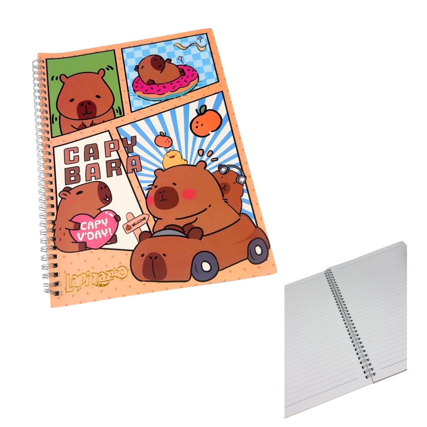 HFY-13358 LIBRETA TAMAÑO PROFESIONAL ESPIRAL METALICO VARIOS DISEÑOS CON 1 PZ O CAJA CON 60 PZS