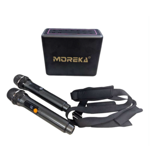 A27 ALTAVOCES DE DOBLE MICROFONO ALTA CALIDAD 120W 12000mAH CON 1 PZ O CAJA CON 6 PZS