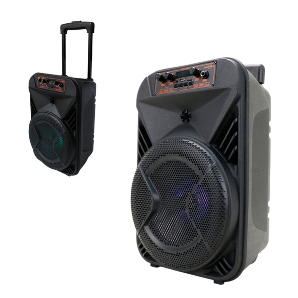 GTS-2052 BOCINA BLUETOOTH CON MICRÓFONO 8 PULGADAS CON 1 PZ O CAJA CON 6 PZS