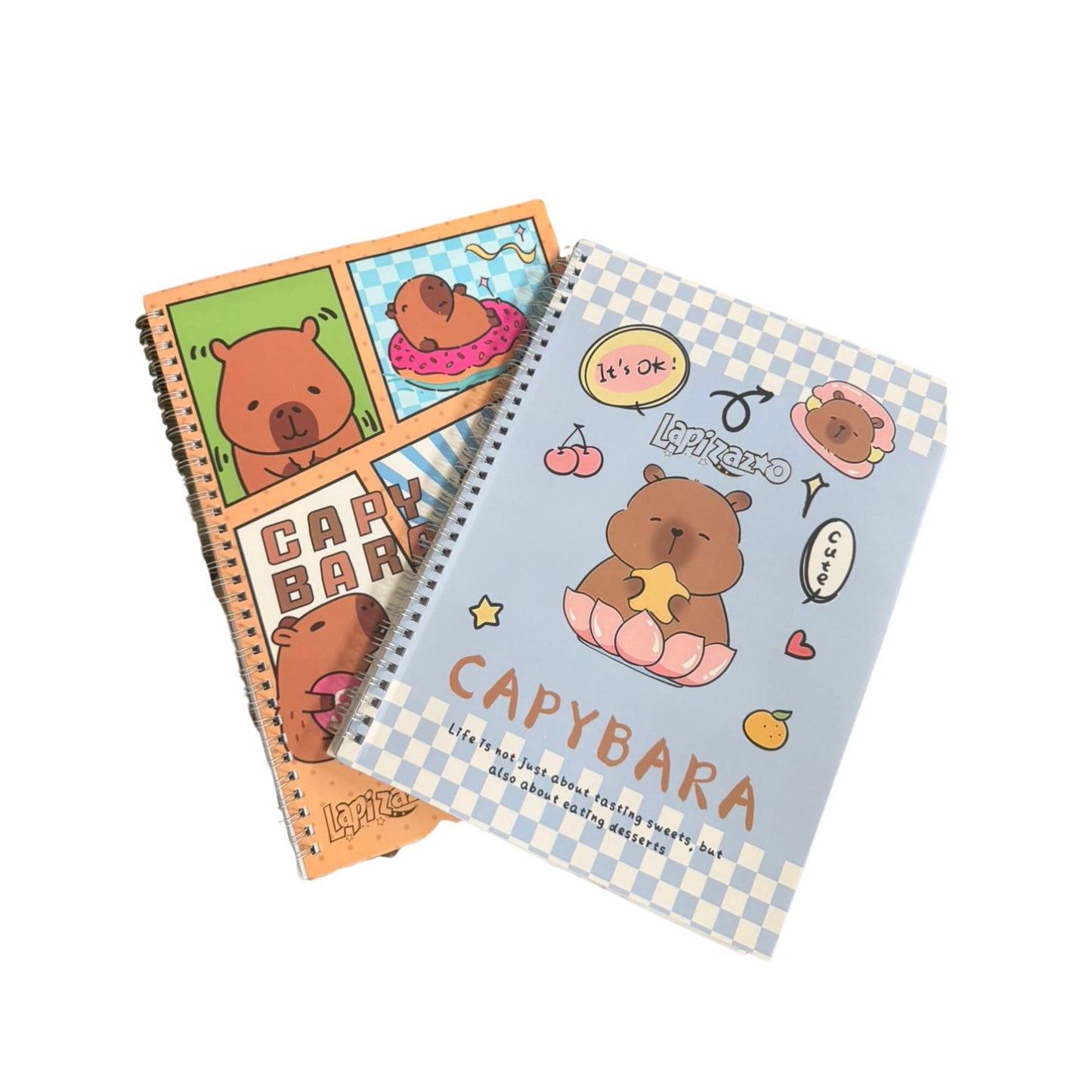 HFY-13360 LIBRETA TAMAÑO PROFESIONAL ESPIRAL METALICO CON VARIOS DISEÑOS CON 1 PZ O CAJA CON 60 PZS