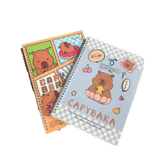 HFY-13360 LIBRETA TAMAÑO PROFESIONAL ESPIRAL METALICO CON VARIOS DISEÑOS CON 1 PZ O CAJA CON 60 PZS